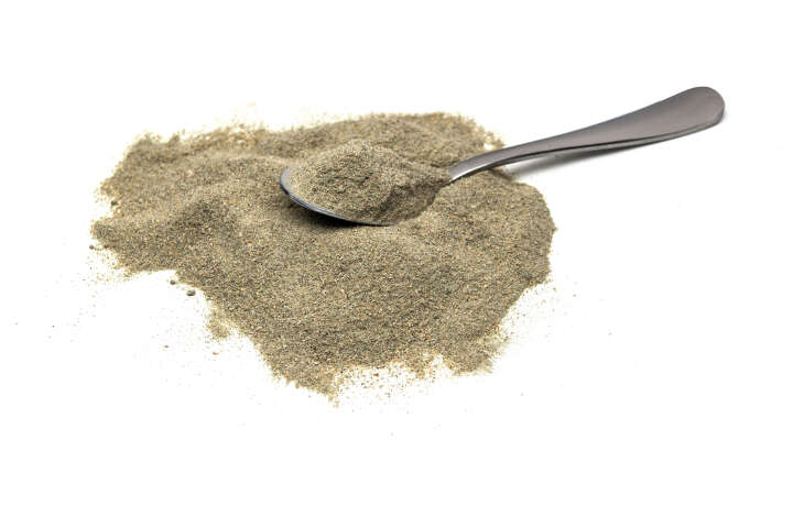 Höveler DOG DARM PLUS